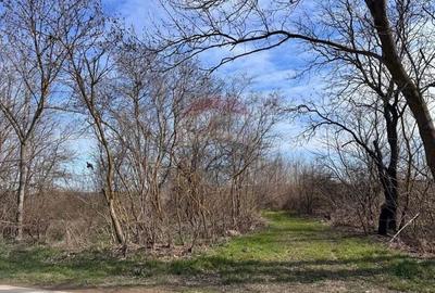 Teren de 21826 mp, în Olimp - 3