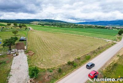 Teren de 3800 mp, în Nord - 5