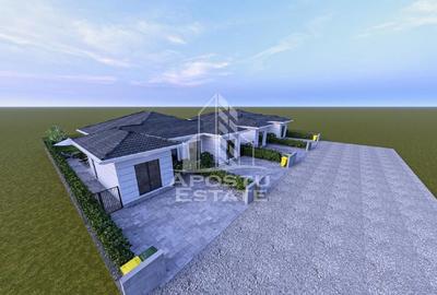 Duplex Mosnita Noua - 28