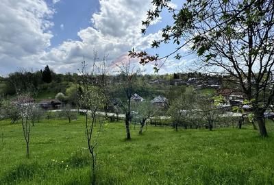 Teren Albesti Arges - Ultracentral Teren Albesti Arges - Ultracentral - 6