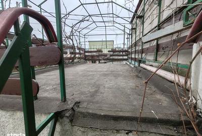 Casă cu 5 camere decomandat cu Teren 194 Mp în Sălaj - 11