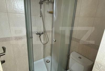 Apartament cu 4 camere în Independenței - 13