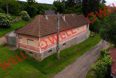 Casă cu 2 camere cu Teren 1048 Mp în Bodoș - 9
