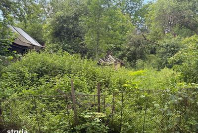 Teren de 683 mp, în Provița de Sus - 6