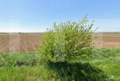 Teren de 6700 mp, în Vlădeni