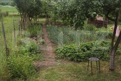 Casă cu 2 camere cu Teren 432 Mp în Remetea - 6