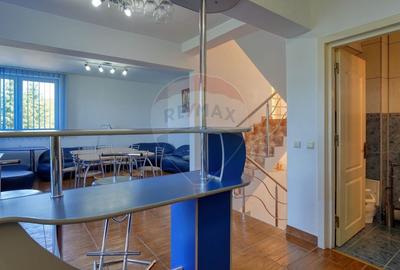 Casă individuală cu 7 camere cu Teren 725 Mp în Drumul Carului - 36
