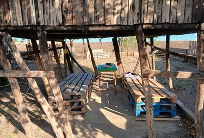 Casa la tara sat Silistea com Vitanesti - 4