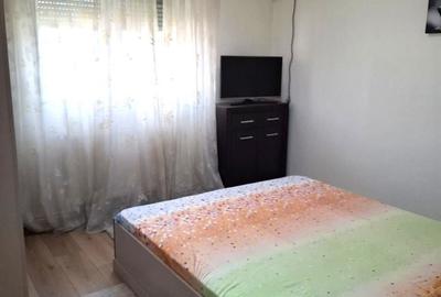 Apartament cu 2 camere decomandat în Lacu - 2