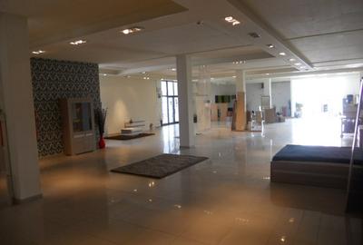 Showroom mobila-prod.+birouri  500 -1500 mp , Gh. Doja , pret 3.6 euro/ mp - 2