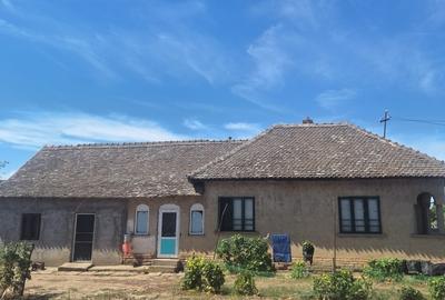 Seaca de Camp, jud. Dolj - 2