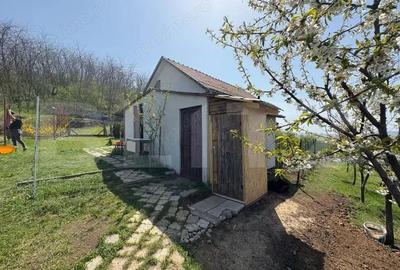 Casa de vacanta zona Ciugud - 5