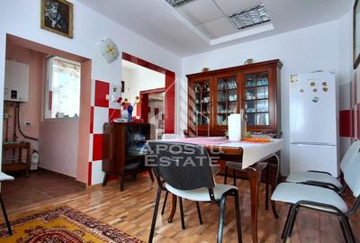 Casa de vanzare in Ineu formata din 2 cladiri - 24