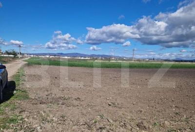 Teren de 15000 mp, în Central