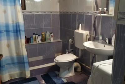 Vand-schimb Casa+spatiu comercial+moara porumb, moara ciocanele, 3000m - 5