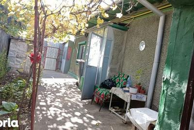 Casă cu 4 camere cu Teren 256 Mp în Radu Negru - 2