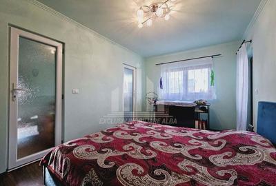 Casa individuala de vanzare, Cetate - 14