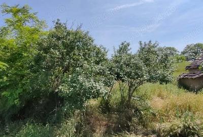 Teren de 925 mp, în Berceni - 2