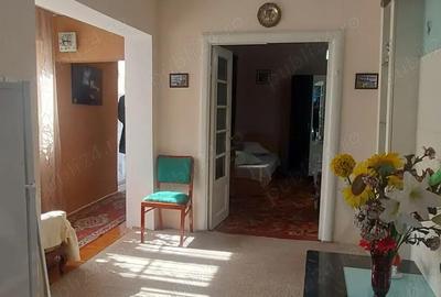 Stadion - Delfinariu - Casa - 6