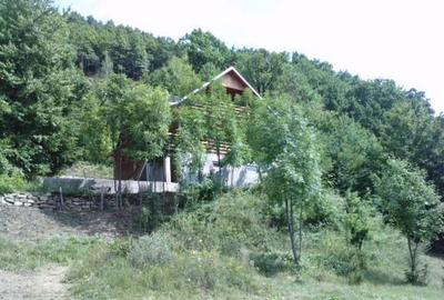 Cabana Lep?a, jud. Vrancea - Cheile Ti?i?ei - 1