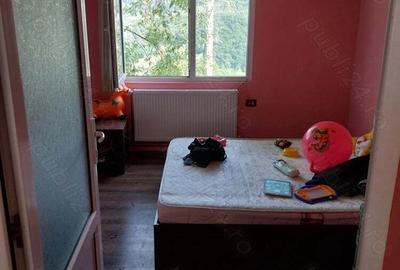 Vand casa Vi?eu de Sus str Colnice Vand casa Vi?eu de Sus str Colnice - 3