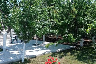 Casă cu 5 camere în Corbu - 6