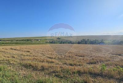 Teren Construcții intravilan de 7500 mp, în Moara Carp - 10