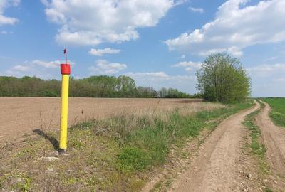Teren agricol intravilan de 16872 mp, în Butimanu - 4