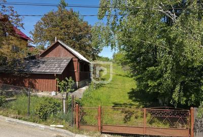 Casa batraneasca cu foi?or ?i teren - 9