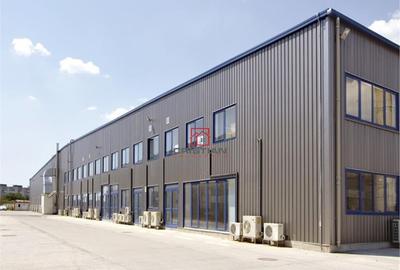 Depozit/hala/spatiu industrial Basarabia - Faur - 4