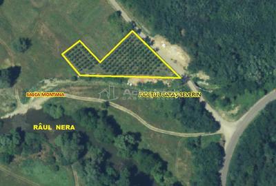 Teren de 1445 mp, în Slatina-Nera - 10