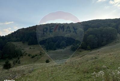 Teren de 2050 mp, în Recea - 6