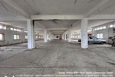 Spațiu comercial, de 2,167 mp, în Drânceni - 18