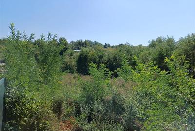 Teren Construcții intravilan de 5615 mp, în Calea Caransebeșului - 22