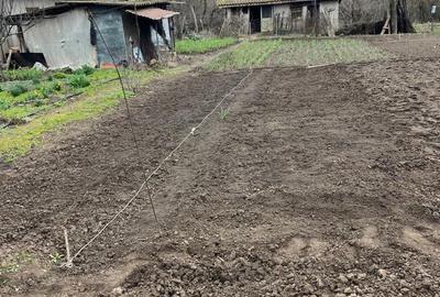 Casă cu 4 camere în Central - 5