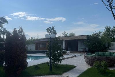 Snagov, vila individuala P+1, 6 camere, teren 2481 mp, - 4