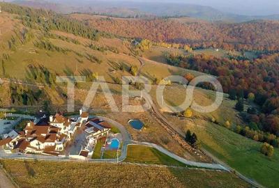 Teren de 3854 mp, în Paltin - 2