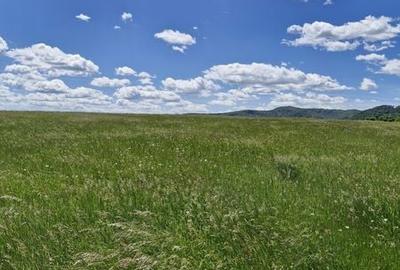Teren de 14900 mp, în Crizbav - 2