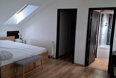 Inchiriez apartament pe 2 nivele, Central, Tg, Mures - 5