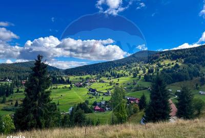 Spațiu comercial, în Galbena - 3