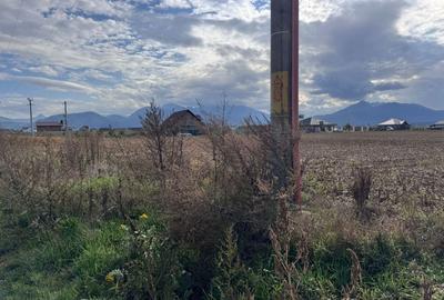 Teren dezvoltare rezidentiala Tarlungeni - zona Izvor - 5