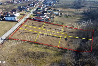 Spațiu comercial, în Valea Brazilor - 5