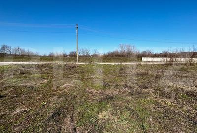 Teren Construcții intravilan de 1331 mp, în Exterior Nord - 5