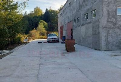 HALĂ DE VÂNZARE SAU ÎNCHIRIERE, ÎN  LOC.. BĂUȚAR, JUD. CARAȘ-SEVERIN - 10
