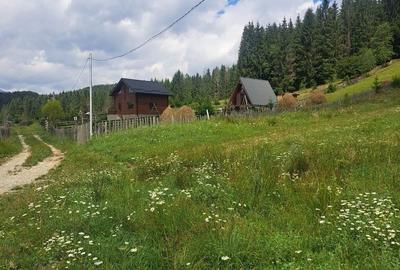 Spațiu comercial, în Teșila - 1