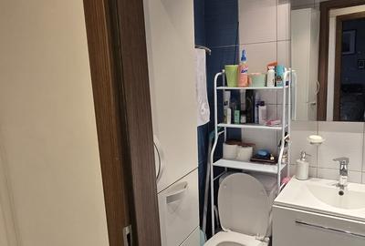 Apartament cu 3 camere decomandat, mobilat în 1 Decembrie 1918 - 7