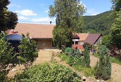 Casă individuală cu 4 camere cu Teren 1439 Mp în Vest - 24