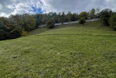Teren de 4700 mp, în Moieciu