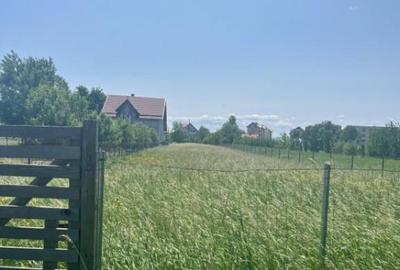 Teren intravilan ,2000 mp,Radauti - 2