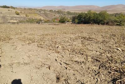 Teren de 7000 mp, în Dorobanțu - 1